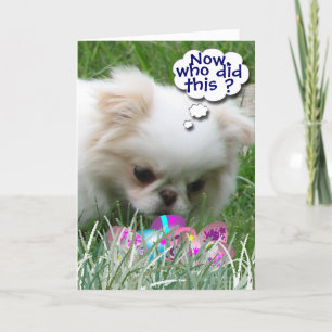 Who Did This ? Holiday Card
