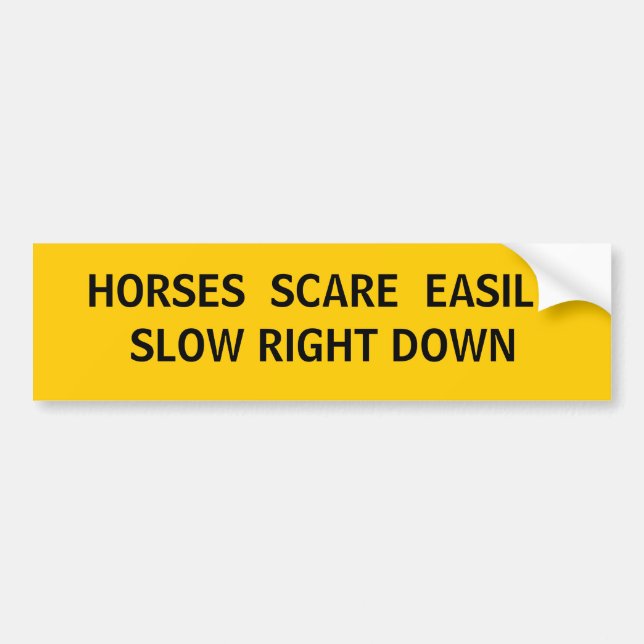 Who else do we share the road with? bumper sticker (Front)