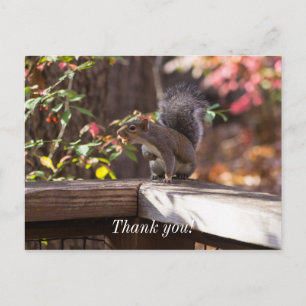 Who Goes There Thank You Postcard
