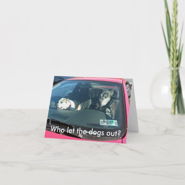 Who let the dogs out? Note Card (Front)