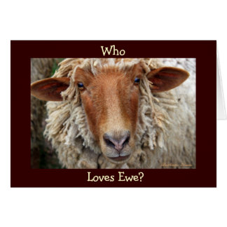 Who Loves Ewe? I wooly do: Valentine/Birthday