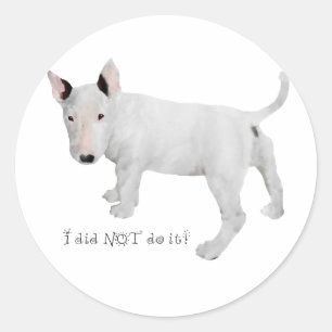 Who, me?  Bull Terrier Puppy Classic Round Sticker