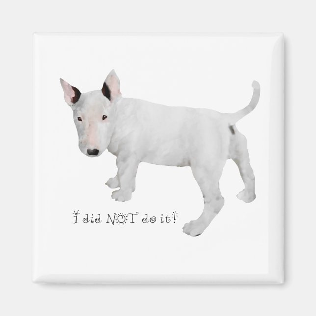Who, me?  Bull Terrier Puppy Magnet (Front)