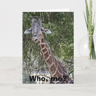 Who, me? card