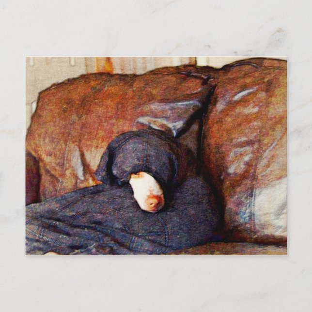 Who me? postcard (Front)