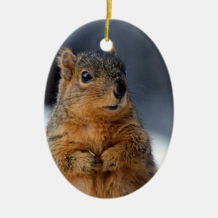 Who Me Squirrel Ceramic Tree Decoration