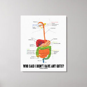 Who Said I Didn't Have Any Guts? Digestive System Canvas Print