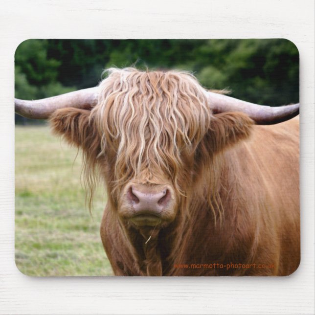 Who Turned the Lights Out Mousemat (Front)