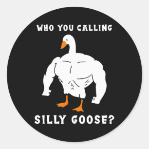 Who You Calling Silly Goose Funny Gym Meme Classic Round Sticker