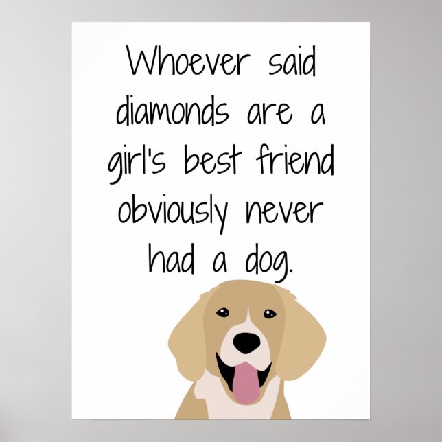 Whoever Said Diamonds Are a Girls Best Friend Post Poster (Front)