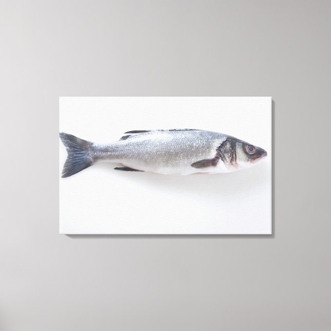 Whole branzini fish canvas print (Front)