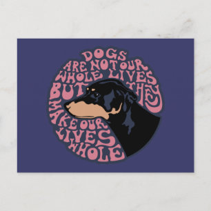 Whole Lives -colour Postcard