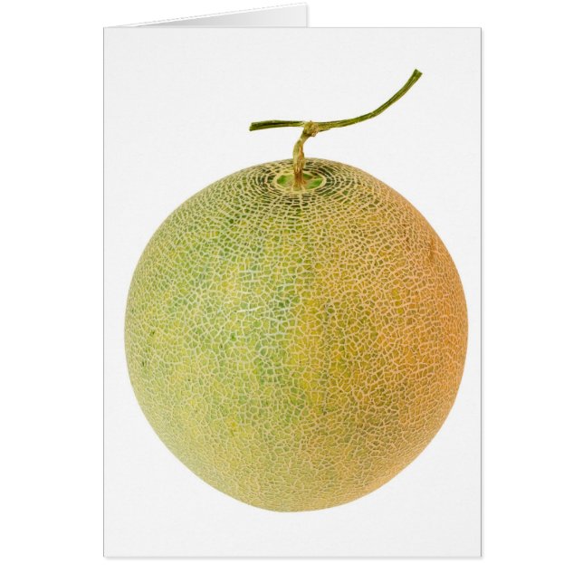 Whole musk melon (Front)