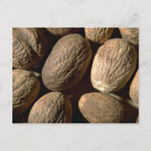 Whole nutmeg postcard