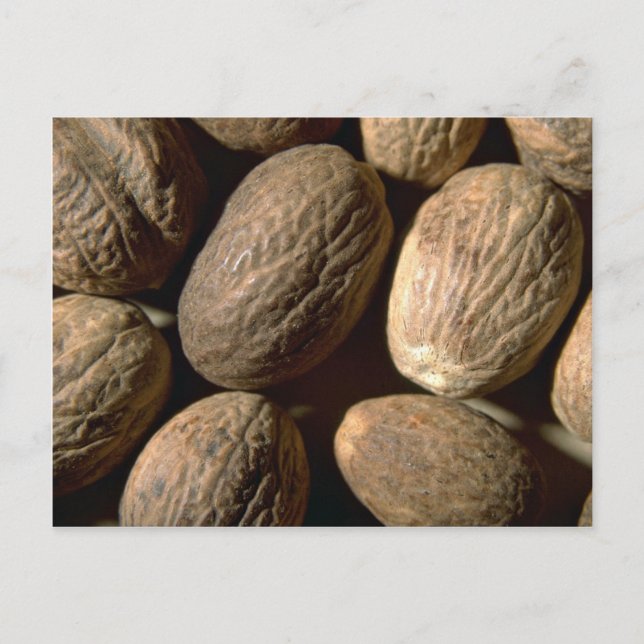 Whole nutmeg postcard (Front)