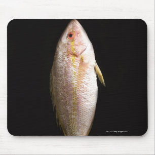 Whole Sea Bass Mouse Pad