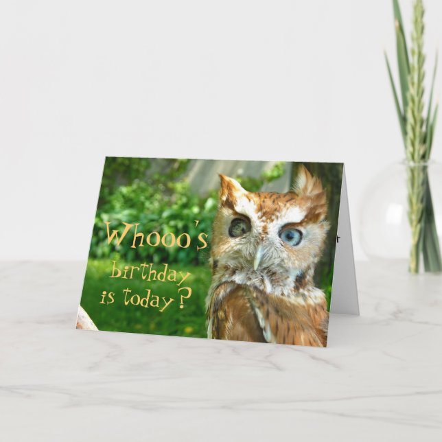 Whooo's Birthday Card (Front)