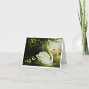 Whooper Swan Customise Card