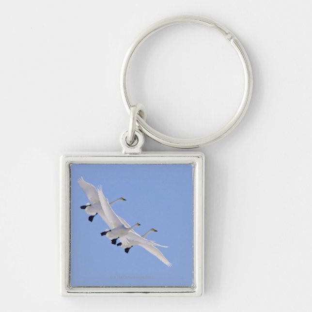 Whooper Swans flying in the sky Key Ring (Front)