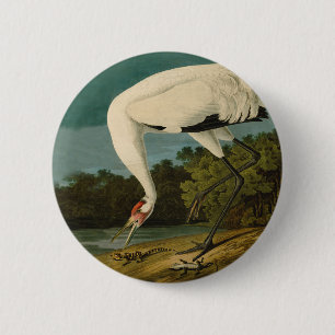 Whooping Crane Audubon Bird Painting 6 Cm Round Badge