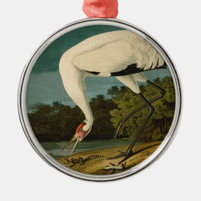 Whooping Crane Audubon Bird Painting Metal Tree Decoration (Front)