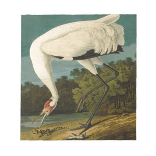 Whooping Crane Audubon Bird Painting Notepad