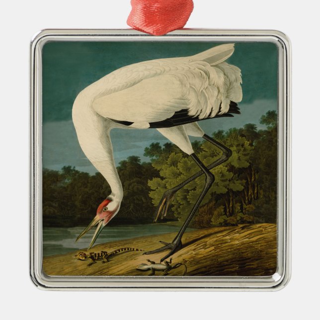 Whooping Crane Audubon Bird Print Metal Tree Decoration (Front)