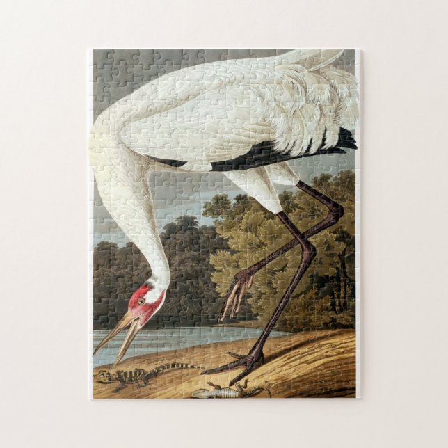 Whooping Crane by John James Audubon Jigsaw Puzzle (Vertical)
