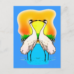 Whopping Cranes in Love Postcard