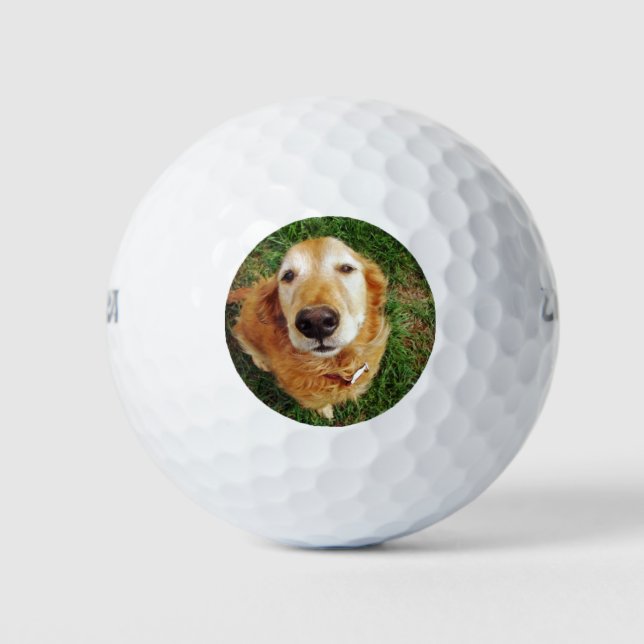 Who's a Good Boy Golf Balls (Front)