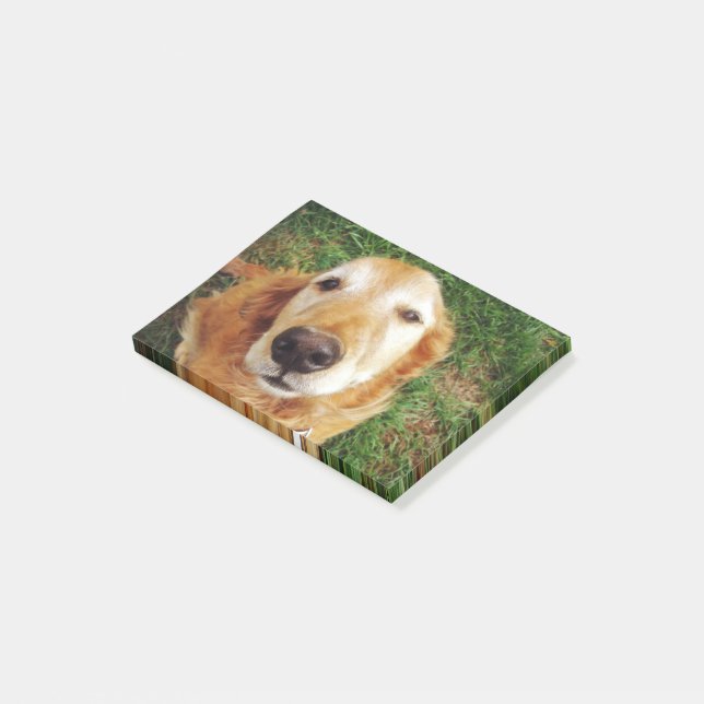 Who's a Good Boy Post-it Notes (Angled)