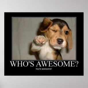 Who's Awsome? Poster