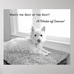 Who's the Best of the Best? A Westie of Course! Poster