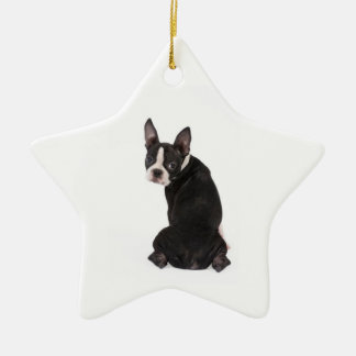 Who's The Boston Star Ornament