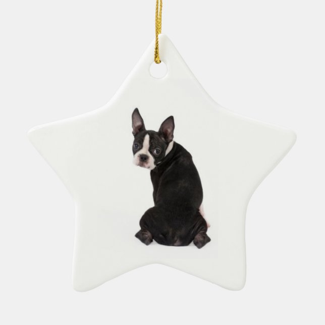 Who's The Boston Star Ornament (Front)