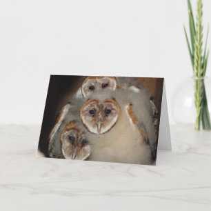 "Who's There?" Barn Owl greeting card