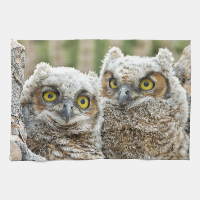 Who's there, Pair of Owl's Tea Towel (Horizontal)