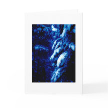 Whose Woods These Are? I think I know..Note Card