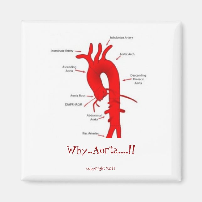 Why..Aorta....!! 2" fridge  magnet (Front)