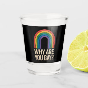 Why Are You Gay Funny Rainbow LGBTQ Pride Ally Shot Glass