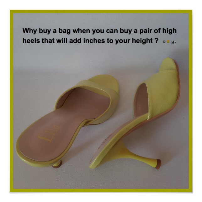 WHY BUY A BAG POSTER (Front)