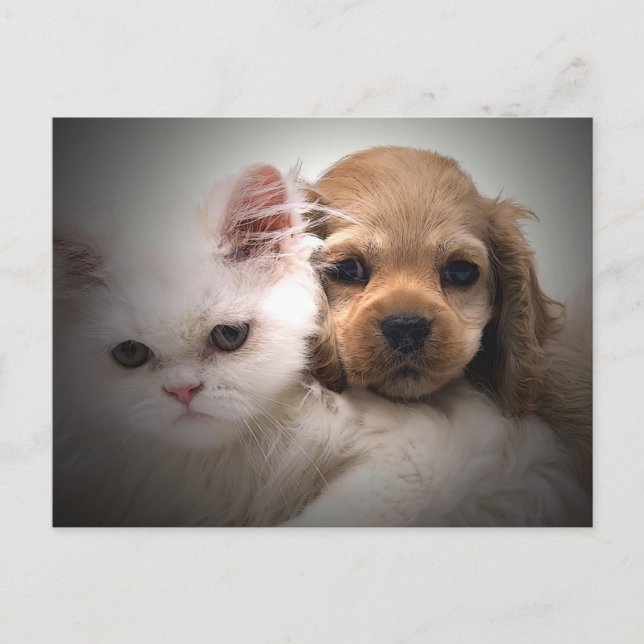 Why Can't We Be Friends Postcard (Front)