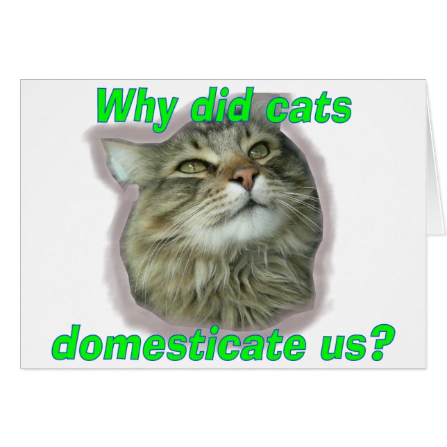 Why did cats domesticate us? (Front Horizontal)