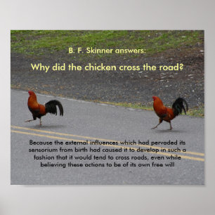 Why Did The Chicken Cross? - (small) poster