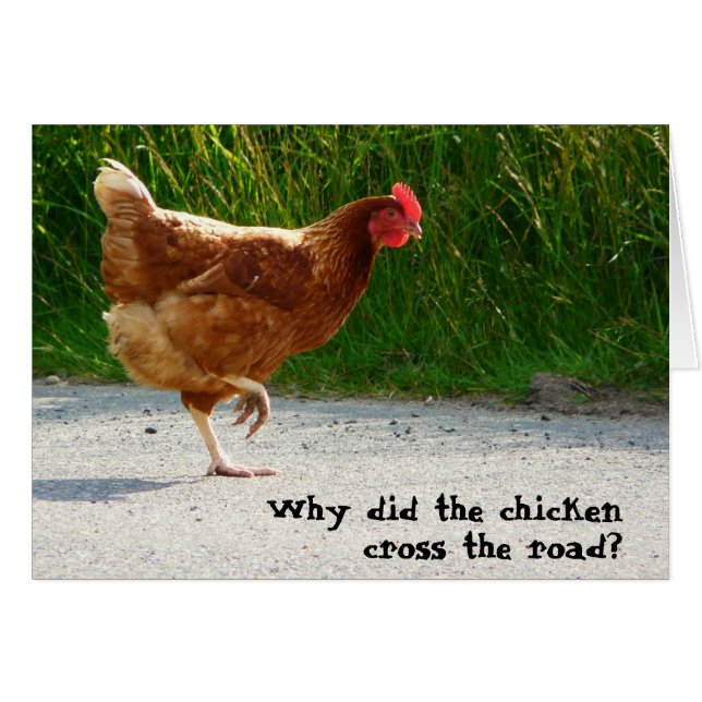 Why did the Chicken Cross the Road? (Front Horizontal)