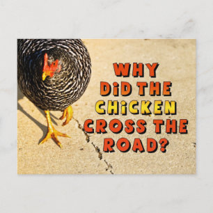 Why did the Chicken Cross the Road? Postcard