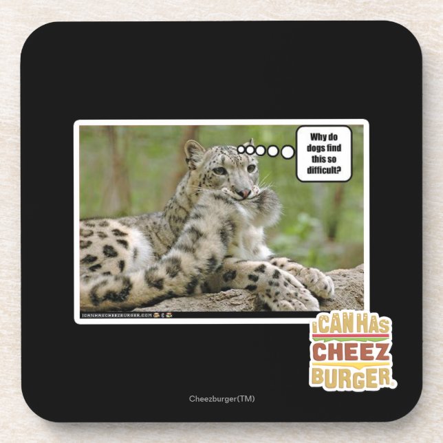 Why do dogs find this so difficult? coaster (Front)