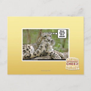 Why do dogs find this so difficult? postcard