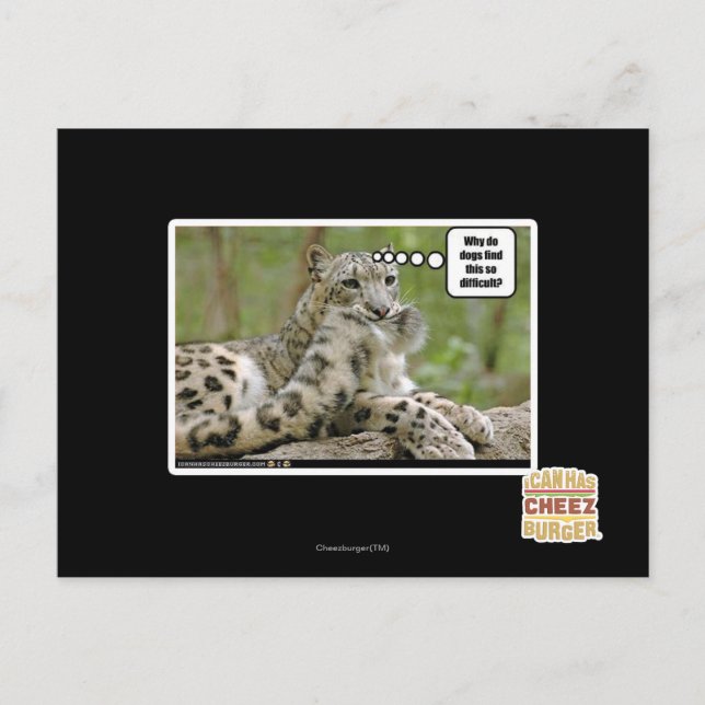 Why do dogs find this so difficult? postcard (Front)