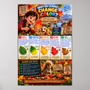 Why Do Leaves Change Colour Infographic Poster
